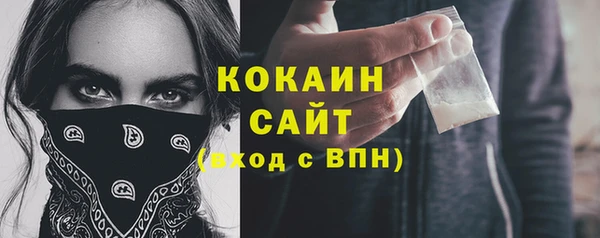 прущие крисы Новозыбков