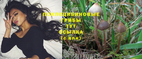 экстази Новокубанск