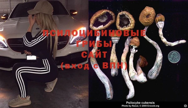 ALPHA PVP Новодвинск