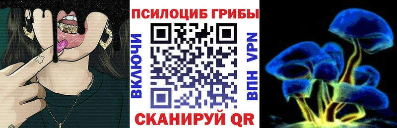 Галлюциногенные грибы мицелий  Ишим 