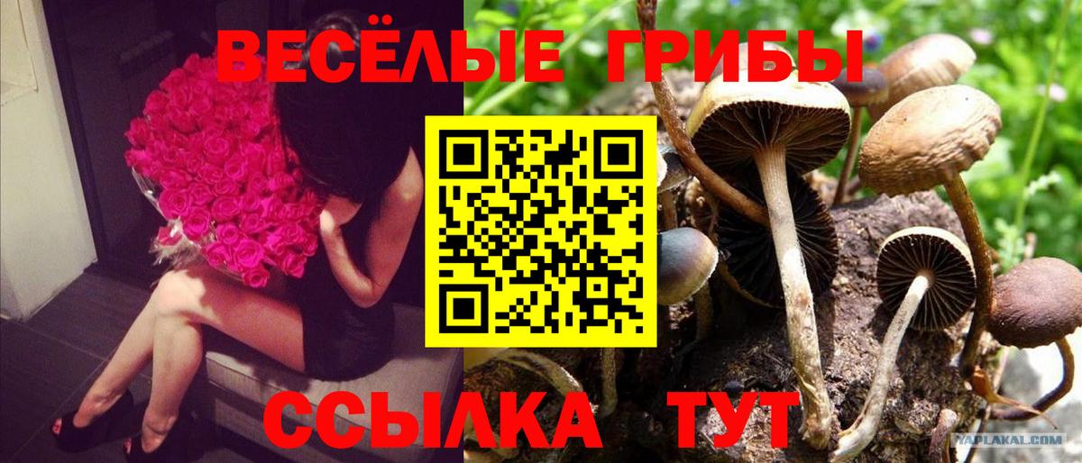 Галлюциногенные грибы Magic Shrooms Ишим