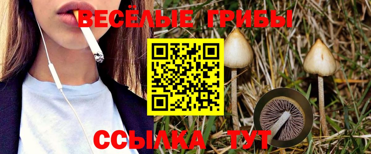 Псилоцибиновые грибы ЛСД  Вход с VPN  Галлюциногенные грибы Psilocybe  Ишим 