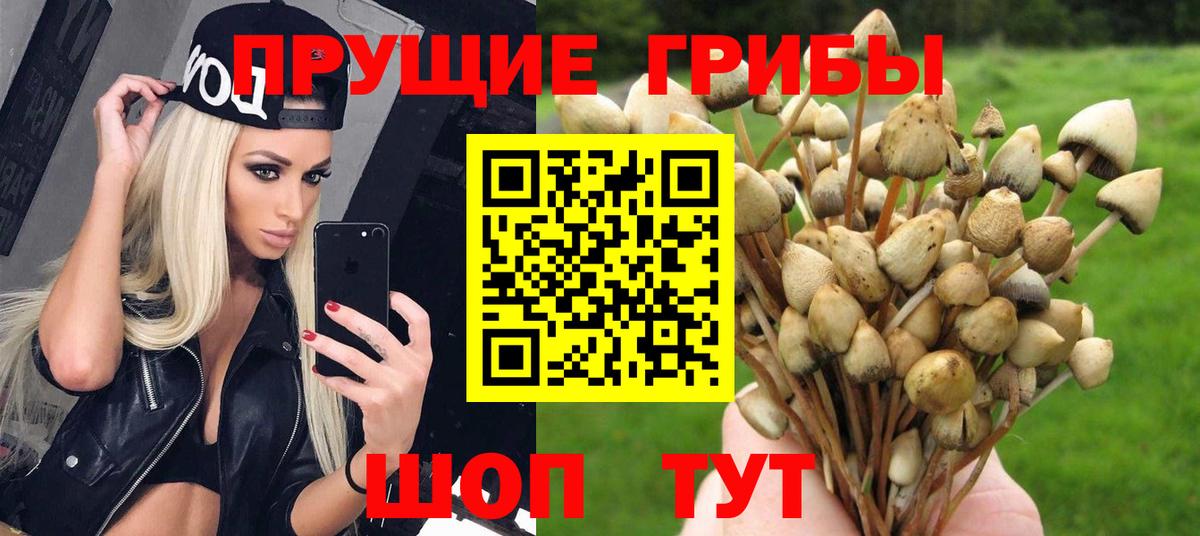 Псилоцибиновые грибы MAGIC MUSHROOMS  Ишим  Псилоцибиновые грибы прущие грибы 